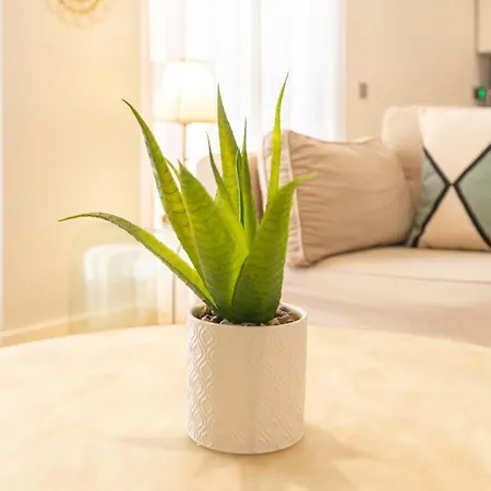 Souviron & Old Town By Ele Apartment Malaga